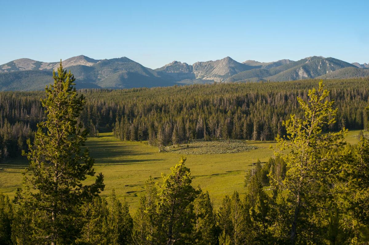 photo of montana in summer