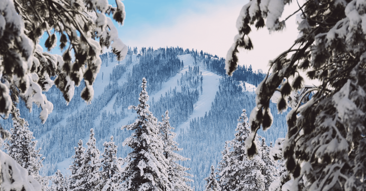 photo of snowy mountain
