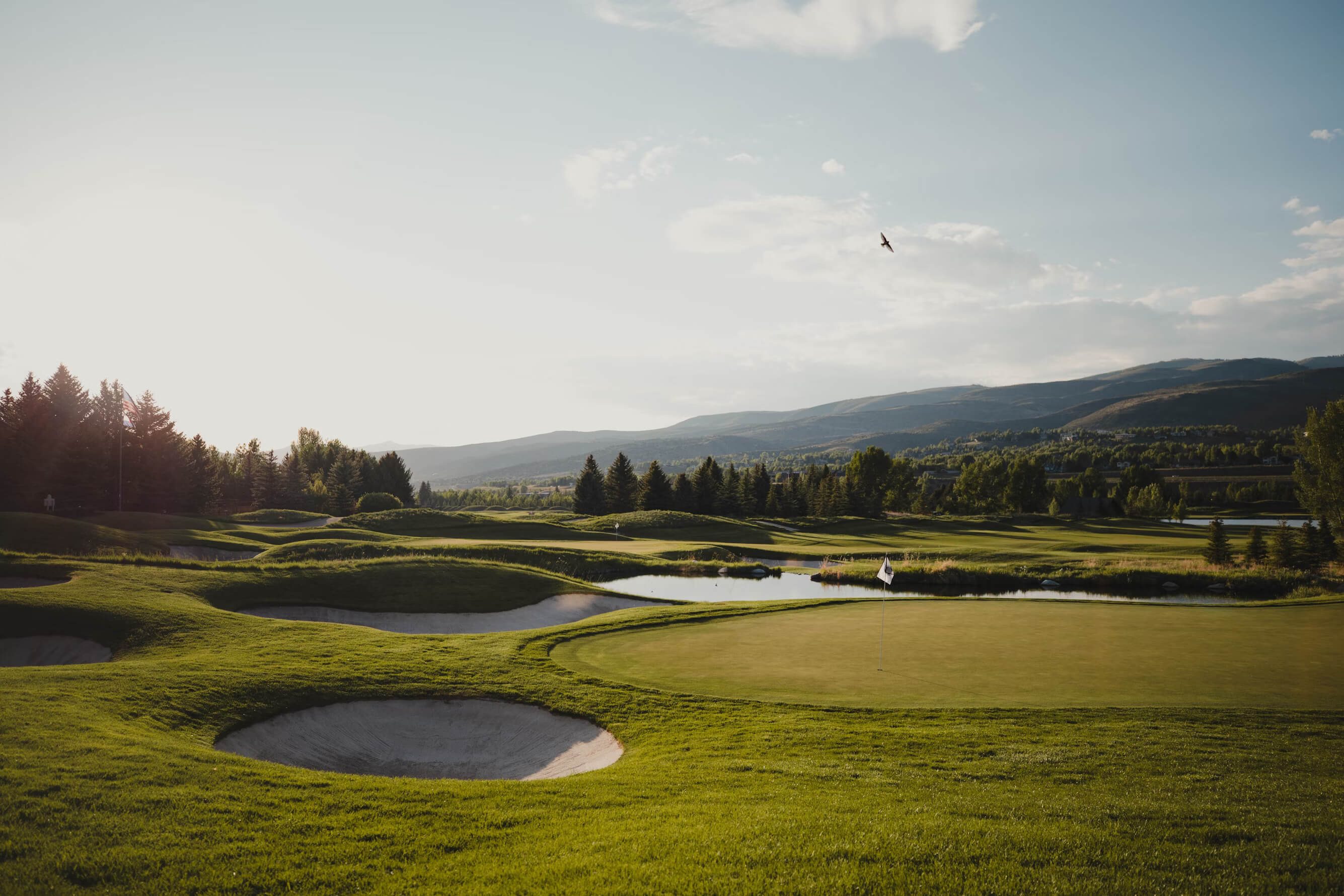 photo of summer golf course