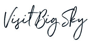 stein collection logo